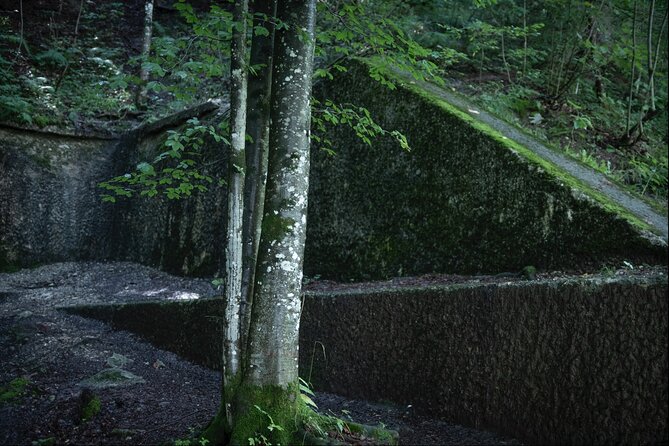 Berchtesgaden-Obersalzberg Private Half Day WWII Historical Tour - The Woods Walk to the Berghof Ruins and View Area