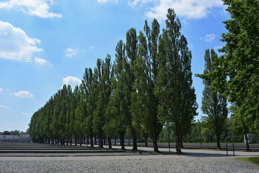 Dachau Memorial Public Tour - Survivors’ Tales: Why a Human Perspective Changes Everything