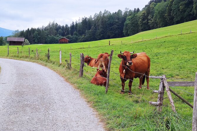 Dragon Slayer Way Beer Hike Food Experience Private Tour (departs Munich) - Munich to Murnau by Train: Less Hassle, More Day Trip Energy