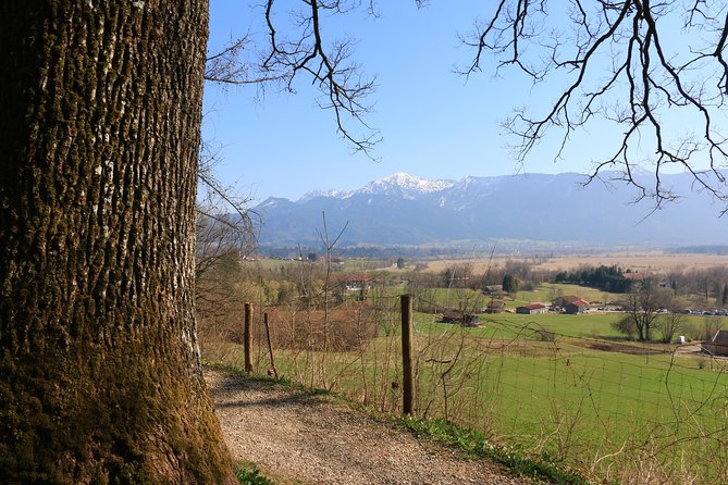 Dragon Slayer Way Beer Hike Food Experience Private Tour (departs Munich) - The Dragon’s Way Hike: About 7 km of Real Bavarian Views