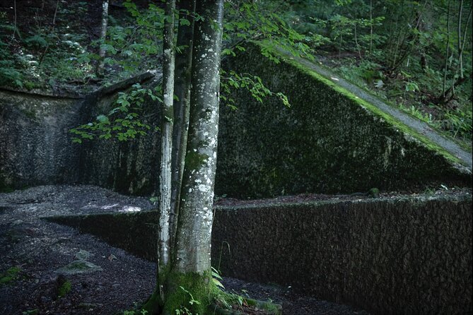 Eagle's Nest-Berchtesgaden-Obersalzberg Private Half Day WWII Historical Tour - How long is too long: matching this half-day to your travel style