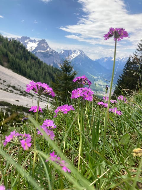 Ehrwald: Hiking Tour into breath taking Nature - Traditional log cabins and why the stops feel like a reset
