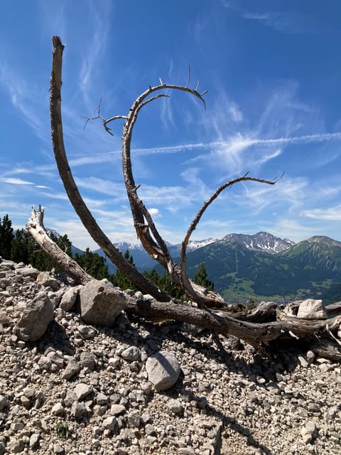 Ehrwald: Hiking Tour into breath taking Nature - Gear guidance via WhatsApp, plus a real help hand