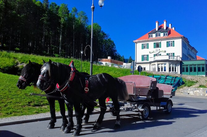 EXCLUSIVE 3 Royal Castle SKIP-THE LINE Tour of Neuschwanstein + Linderhof + Hohenschwangau from Munich - Marienbrücke Viewpoint: Your Best Castle Photo Window