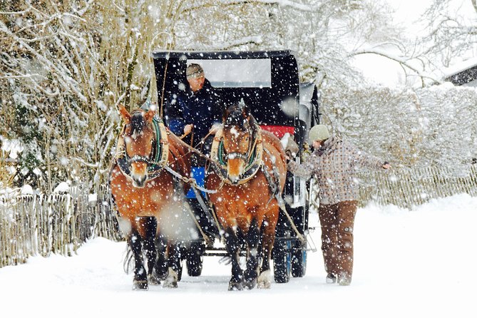 Horse Carriage Tour of Garmisch-Partenkirchen - Price and logistics, what $207.07 per person is buying