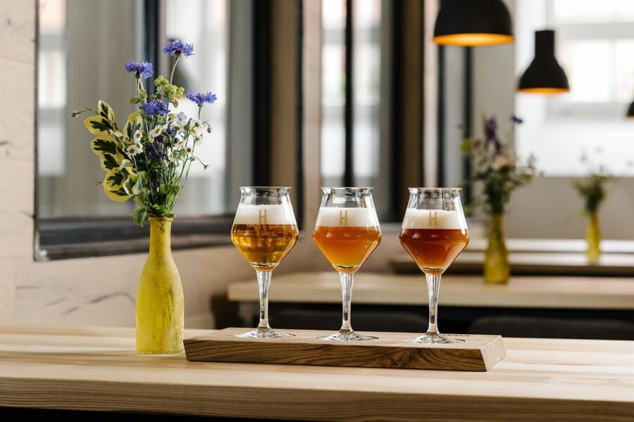 München: Braukurs mit Führung und Verkostung - Beer tasting: IPA to special brews, and what to notice