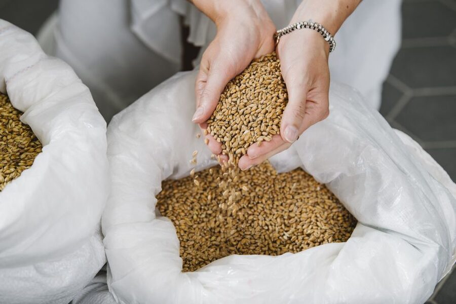 München: Braukurs mit Führung und Verkostung - Who this braukurs fits best (and who should skip it)