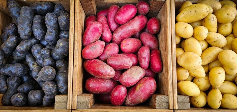 München: Vegetarische Viktualienmarkt-Probiertour Deutsch - The vegetarian tastings, what you’ll likely try, and how to pace yourself