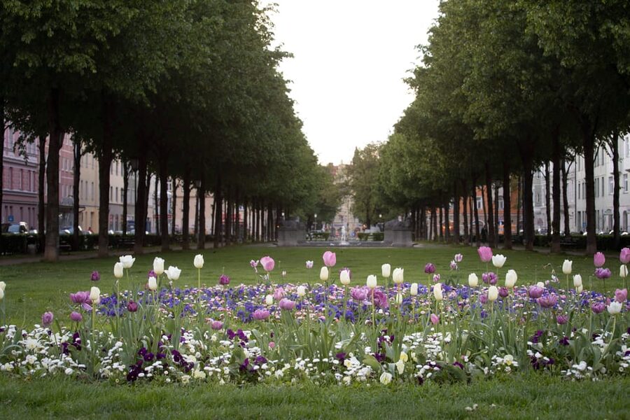 Munich: 3-Hour Food Tour Through Haidhausen in GERMAN - The Fountain Moment at Weißenburger Platz