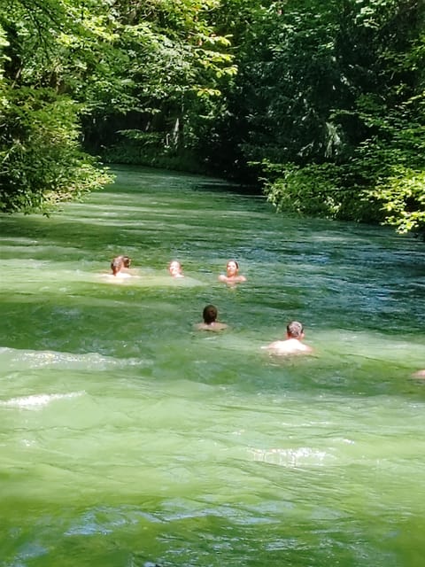 Munich: Mini Classic Bike Tour with Beer Garden Stop at 4 PM - Key highlights to expect (and why they matter)