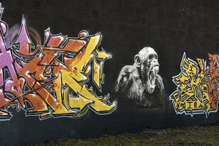 Munich: Street Art Bike Tour - Giesing: the working-class streets behind the colors
