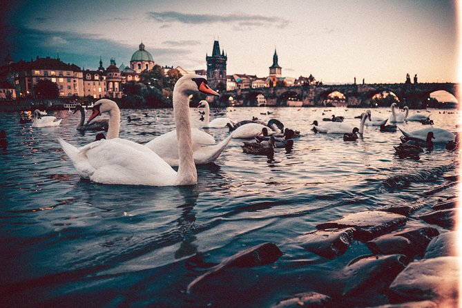 Munich to Prague - Private Transfer with 2 hours of Sightseeing - Driver Quality Matters More Than You Think