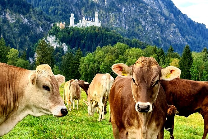 Neuschwanstein Castle, Ettal Abbey and Oberammergau Private Tour from Munich - Price and Value: What You’re Actually Paying For