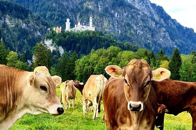 Neuschwanstein Castle Tour with Skip the Line from Hohenschwangau - Mary’s Bridge and the “I get it now” view