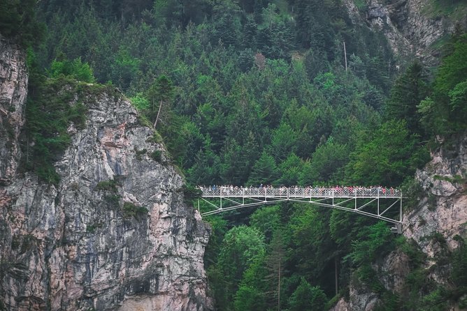 Private Neuschwanstein Castle Tour - optional Alpine Coaster - Stop 1: From Munich to Neuschwanstein for the first big views