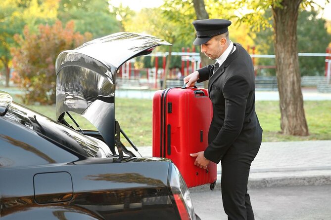 Private One-way Airport Transfer Munich Airport To Munich - Pickup at MUC: Meeting Point Details and the 45-Minute Cushion