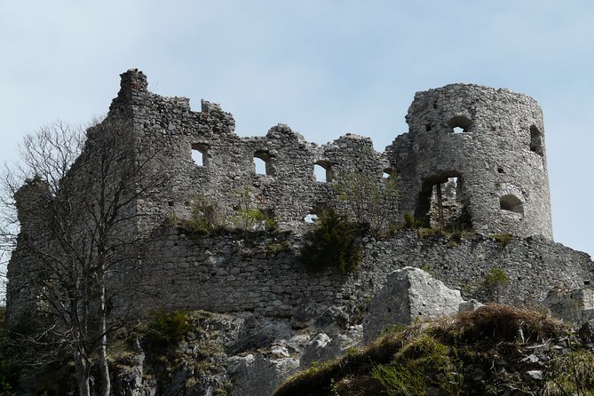 Private Tour of Neuschwanstein Castle & Highline 179 from Munich - Practical tips before you go
