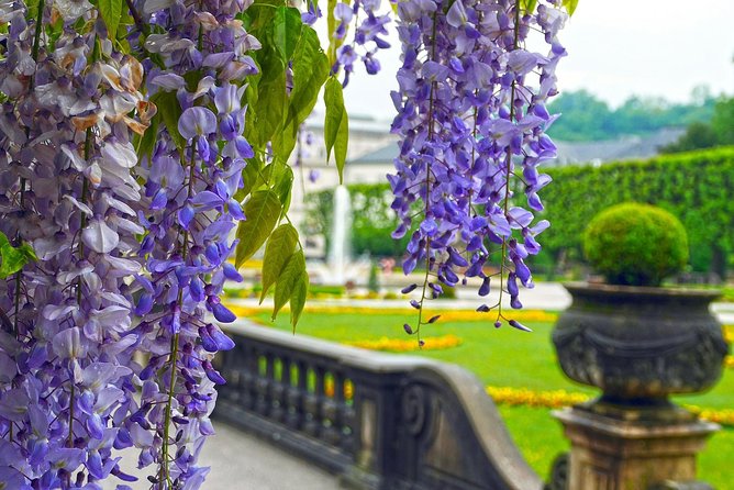 Private Transfer from Munich to Salzburg, English-speaking driver - Price and value: does $237.15 per person make sense?