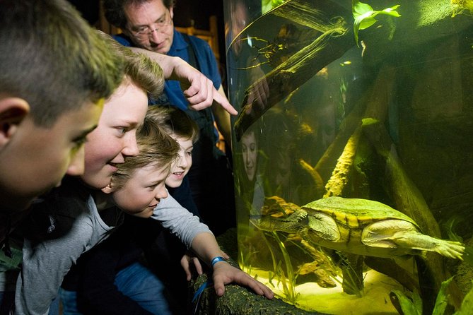 SEA LIFE Munich Admission Ticket - First Look at SEA LIFE Munich’s Underwater Route