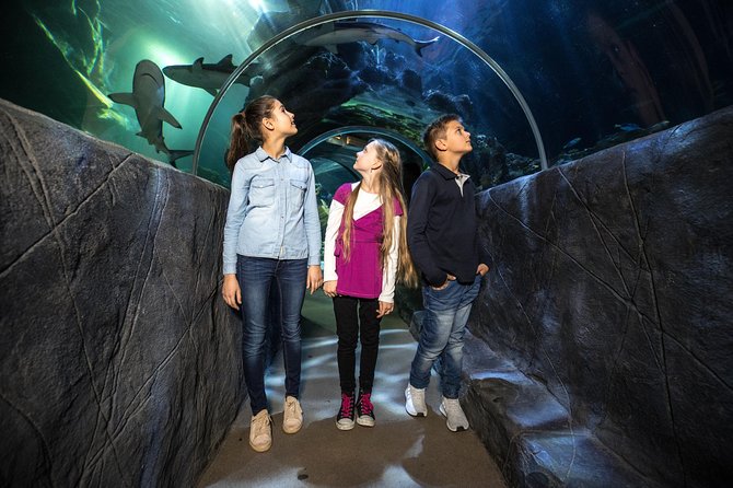 SEA LIFE Munich Admission Ticket - Price and Value: Is $28.91 Worth It?