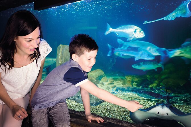SEA LIFE Munich Admission Ticket - Family Fit: Best For Kids, and What to Watch Out For