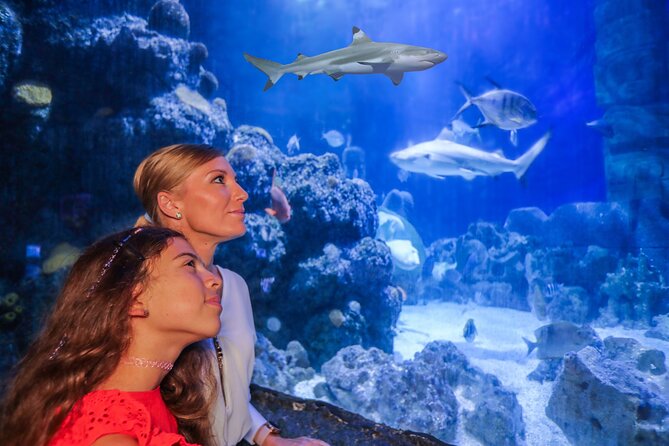 SEA LIFE Munich Admission Ticket - What You’ll See: Habitats, Creatures, and the Shark Lineup